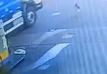 motorista caminhão matou atropelou cachorro canoas