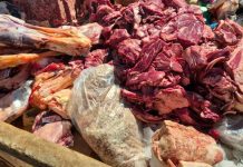 Força-tarefa apreende toneladas de produtos impróprios para consumo no RS e alerta preocupa consumidores