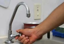 canoas sem água