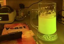 Cientista cria cerveja que atua como vacina e experimento chama atenção no mundo todo