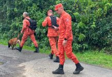 Polícia Civil usa cão farejador dos bombeiros em buscas após denúncia apontar que corpos da família Aguiar teriam sido encontrados em Canoas Polícia Civil usa cão farejador dos bombeiros em buscas após denúncia apontar que corpos da família Aguiar teriam sido encontrados em Canoas