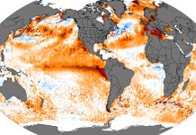 Alerta máximo para o El Niño em 2026 é emitido por Órgãos oficiais
