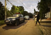 Investigada por morte de animais, ex-secretária do Bem-Estar Animal que se apresentava como protetora dos animais é presa pela Polícia Civil em Canoas por estelionato operação carrasco
