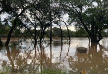 alerta inundação rio dos sinos