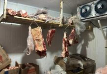 No meio da sujeira e vencidos há 4 anos: fiscalização apreende mais de 2 toneladas de alimentos impróprios em supermercados no RS No meio da sujeira e vencidos há 4 anos: fiscalização apreende mais de 2 toneladas de alimentos impróprios em supermercados no RS