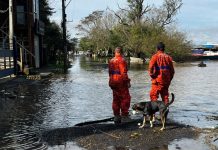 defesa civil canoas