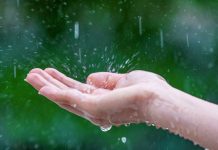 "Fazendas de água": Projeto quer transformar excesso de chuva do El Niño em solução para o RS