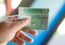 Condutores das categorias C, D e E precisam acompanhar os prazos do exame toxicológico para evitar multas.