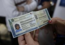 Novo RG: mutirão emite Carteira de Identidade Nacional de graça e sem agendamento Mutirão facilita emissão da nova Carteira de Identidade Nacional gratuitamente.