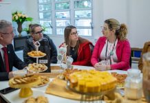 escolas canoas