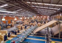 Tradicional fabricante de móveis teve a falência decretada após anos de dificuldades financeiras.