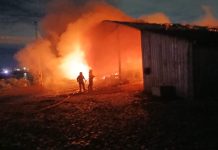 incendio canoas