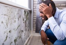 Tratamento correto da infiltração é essencial para recuperar a parede e impedir que a pintura volte a descascar.