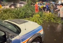 Vento chega a 113km/h em Canoas; Temporal deixa moradores sem luz e água temporal canoas