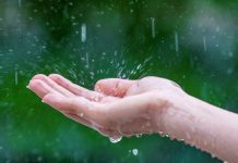 El Niño ganha força e pode provocar mudanças no clima do Brasil nos próximos meses El Niño ganha força no Pacífico e pode provocar mudanças no regime de chuvas em diferentes regiões do Brasil.