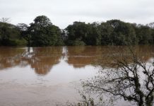 “Equipes em alerta”: Rio Caí ultrapassa cota de inundação em Nova Santa Rita alerta nova santa rita