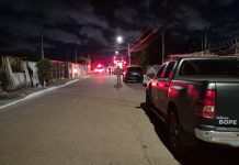 criminosos canoas