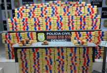 facção canoas