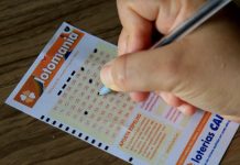 Lotomania 2982: 20 números definem sorteio de R$ 6,5 milhões; confira o resultado Lotomania 2982