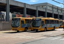 ônibus esteio