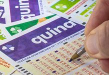 Quina 7117