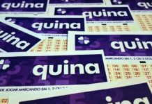 quina 7118