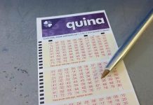 Quina 7124