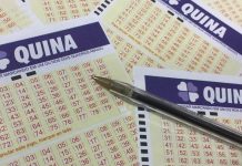 Quina 7127
