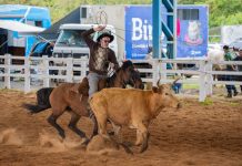 semana farroupilha de canoas