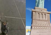 Luciano Hang oferece R$ 10 mil para quem descobrir quem pichou Estátua da Liberdade da Havan Luciano Hang oferece R$ 10 mil para quem descobrir quem pichou Estátua da Liberdade da Havan