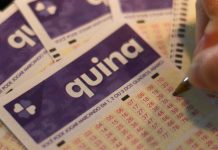 Quina 7133