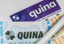 Quina 7134